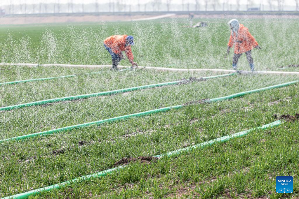 Foto de Zhang Weitang/Xinhua