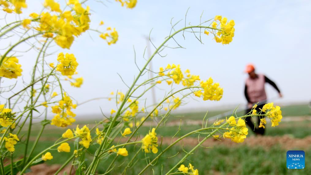 Foto de Wu Jiquan/Xinhua