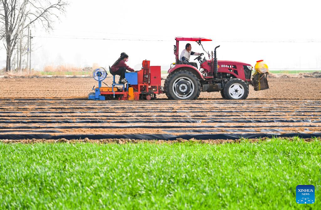 Agricultores chineses aceleram o ritmo de plantio em todo o país