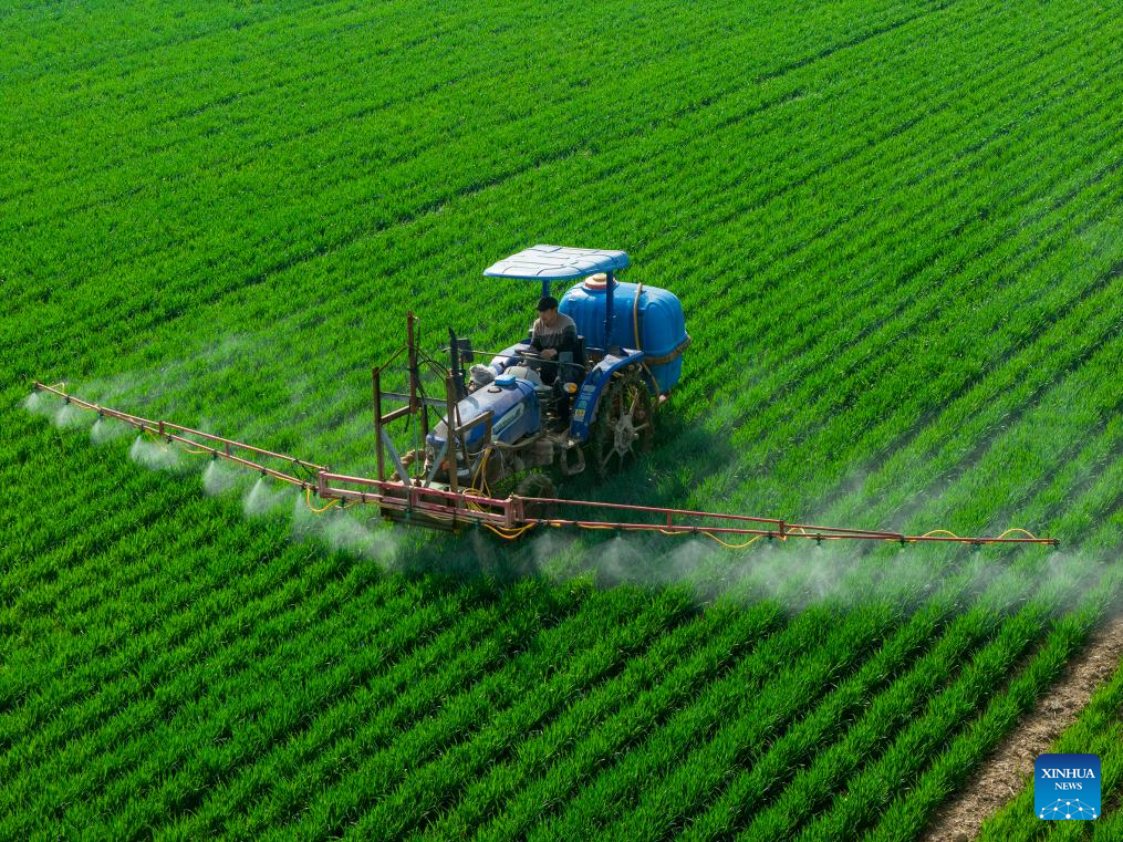 Foto de Du Jie/Xinhua