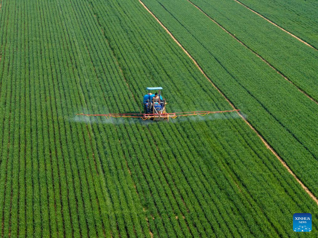 Foto de Du Jie/Xinhua