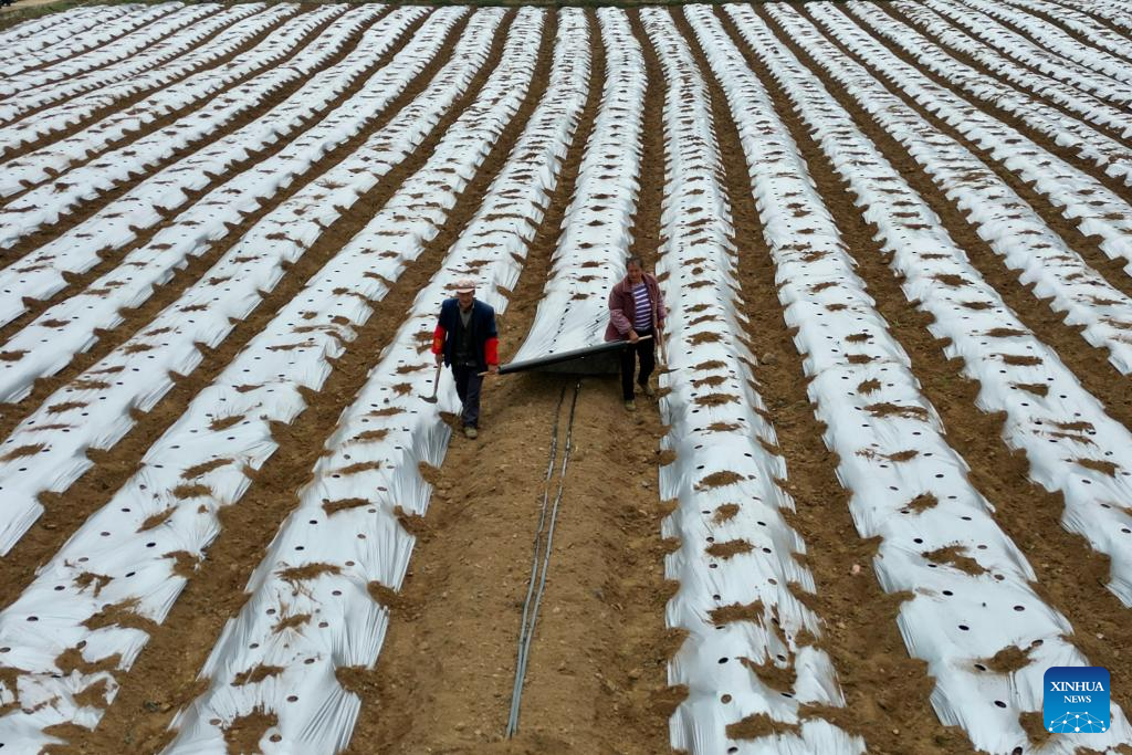 Foto de Jiang Ziyu/Xinhua