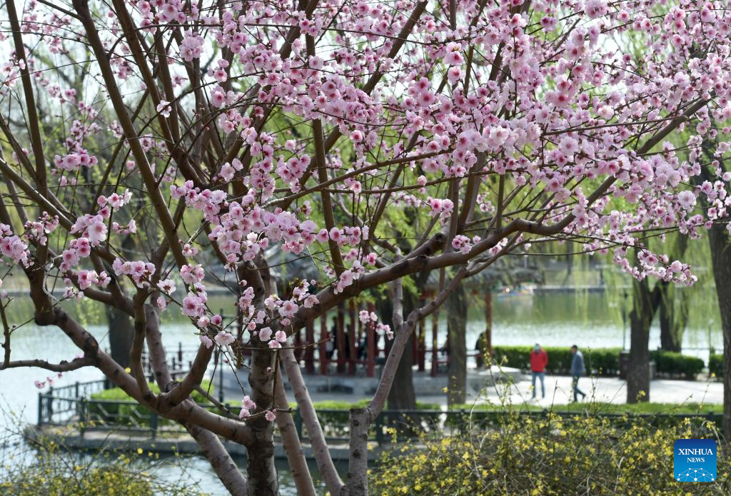 Xinhua/Luo Xiaoguang