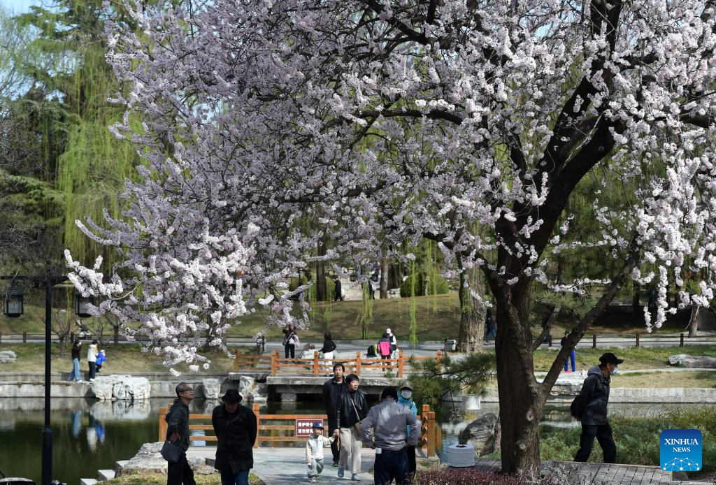 Xinhua/Luo Xiaoguang