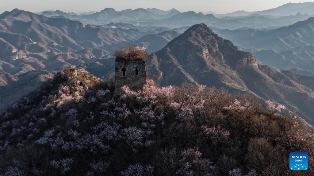 Primavera embeleza a paisagem da Grande Muralha em Qianxi, na Província de Hebei