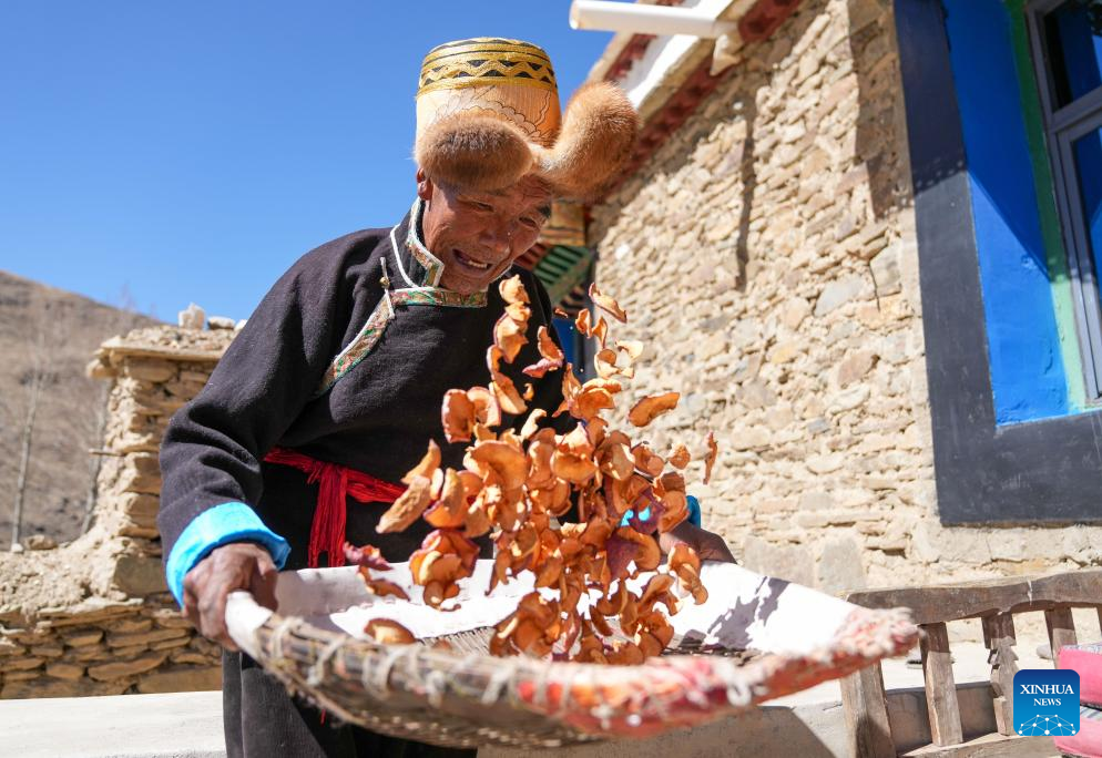 Vida do ex-servo Padma Tashi entra em nova fase após reforma democrática de 1959