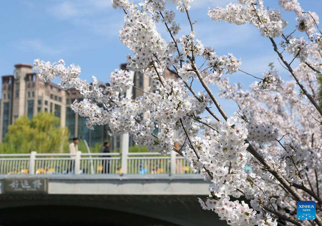 Xinhua/Zhang Chenlin