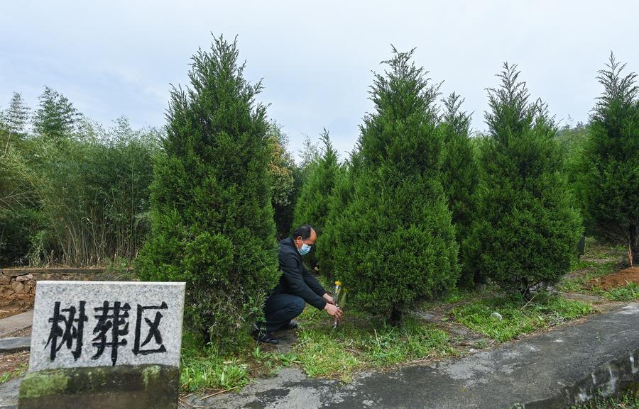 (Multimídia) Sepultamentos ecológicos ganham espaço na China