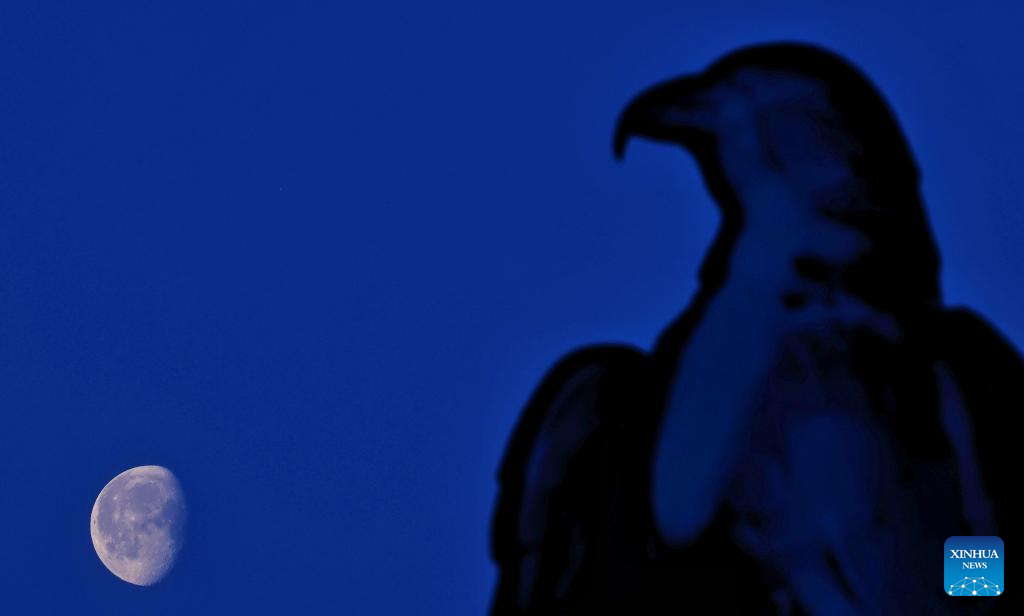 Foto de Liu Wanping/Xinhua