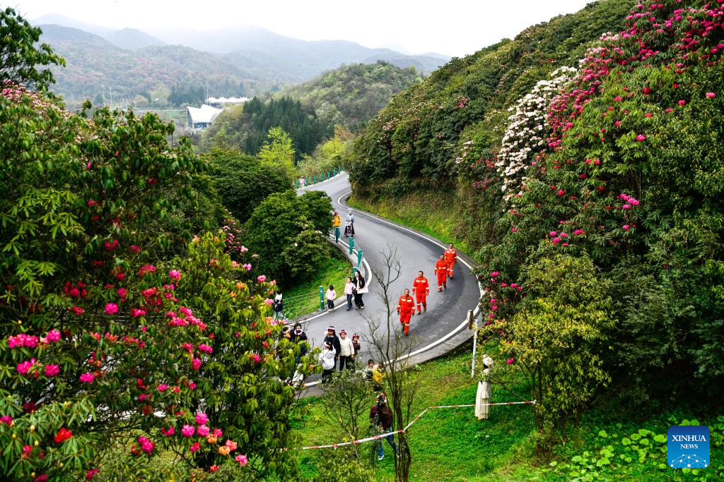 Guardas florestais intensificam prevenção de incêndios durante floração das azaleias em Guizhou, no sudoeste da China