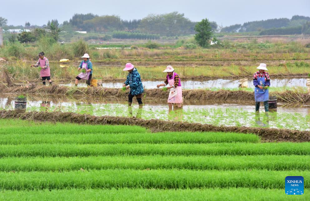 Foto de Liao Zuping/Xinhua