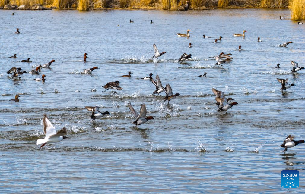 Foto de Nurbek Nurman/Xinhua