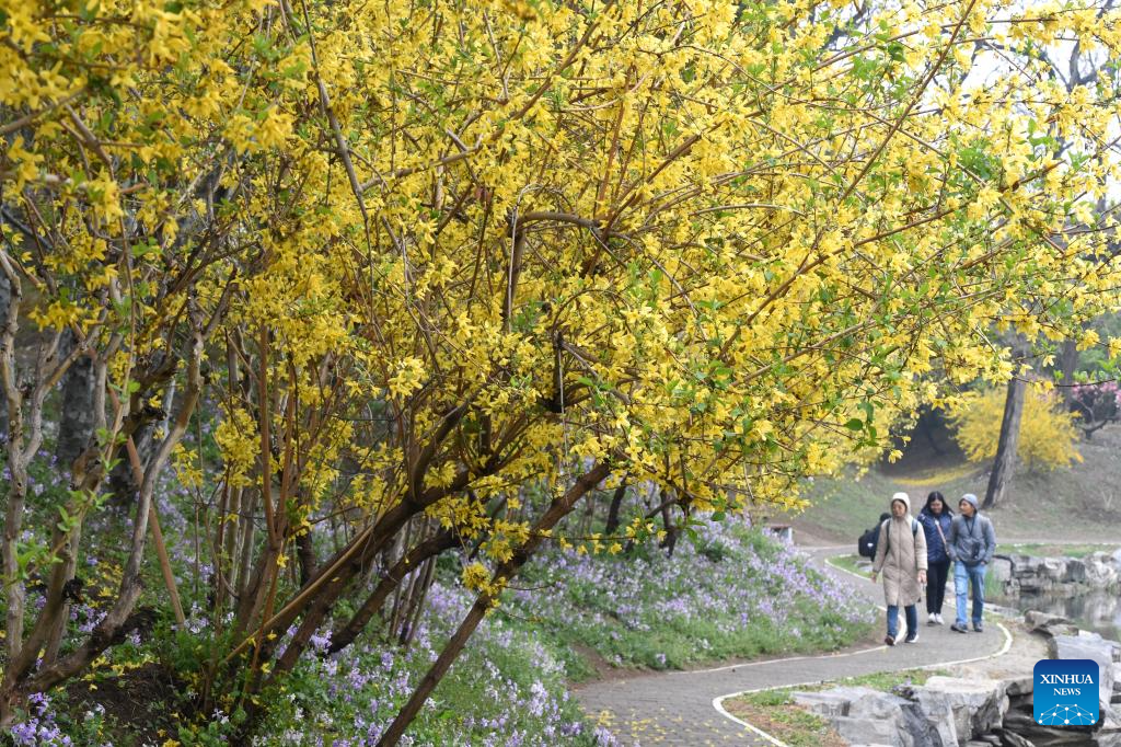 Xinhua/Luo Xiaoguang