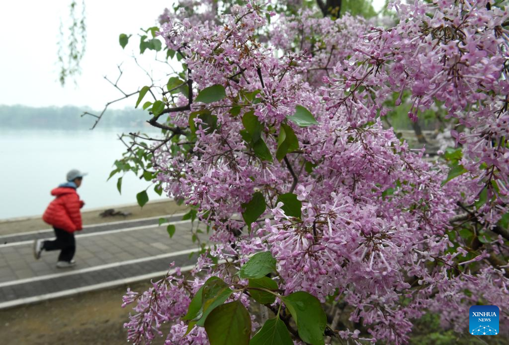 Xinhua/Luo Xiaoguang