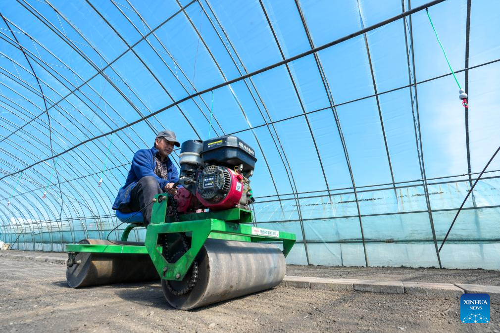 Primavera dá início ao plantio de arroz em Heilongjiang, nordeste da China