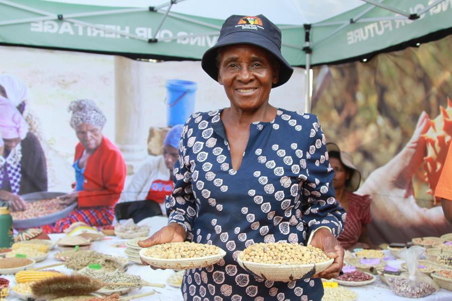 Encontro de compradores de horticultura entre Zimbábue e China visa estreitar laços agrícolas sob política de tarifa zero