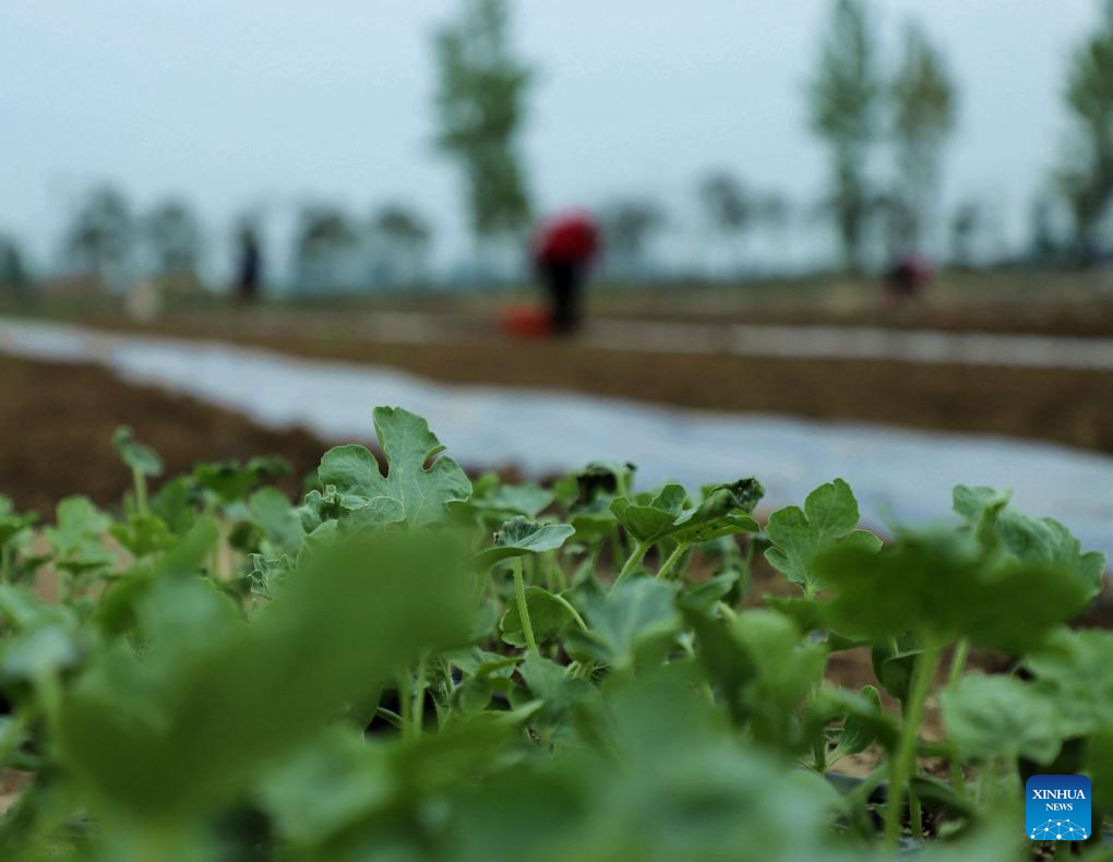 Foto de Gao Song/Xinhua