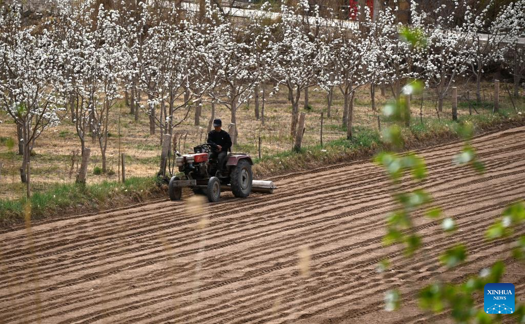 Foto de Zhang Xiaoliang/Xinhua