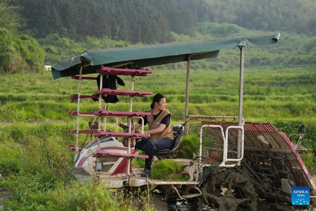 Nova agricultora Luo Yu traz inovação e habilidades ao campo