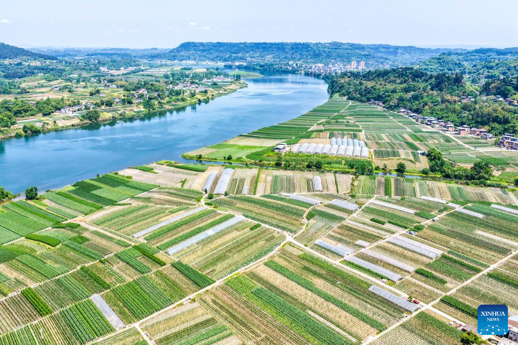 Agricultores intensificam atividades no campo durante temporada de plantio da primavera