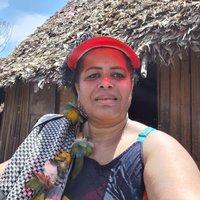 Cláudia Cristina Ferreira dos Santos avatar